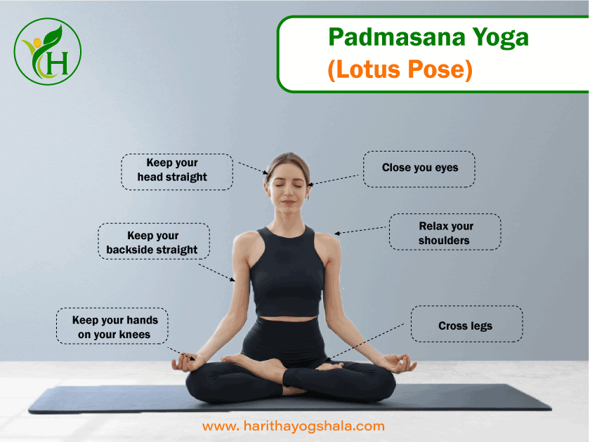Infographics of Padmasana Yoga (Lotus pose)